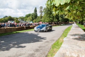 2015-08 Supercar Showdown-426
