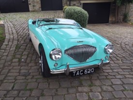 Austin Healey1